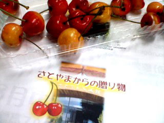 cherry001.jpg